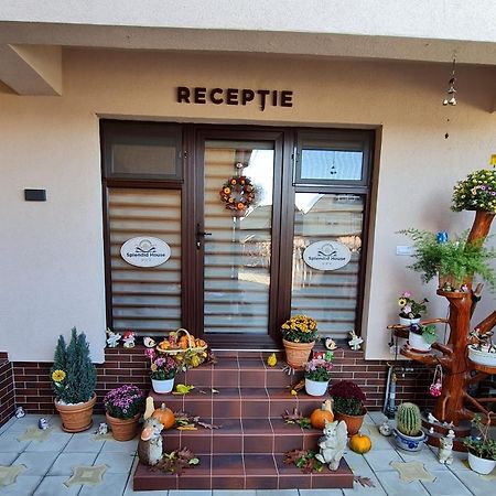 Splendid House Hotel Făgăraş Екстериор снимка
