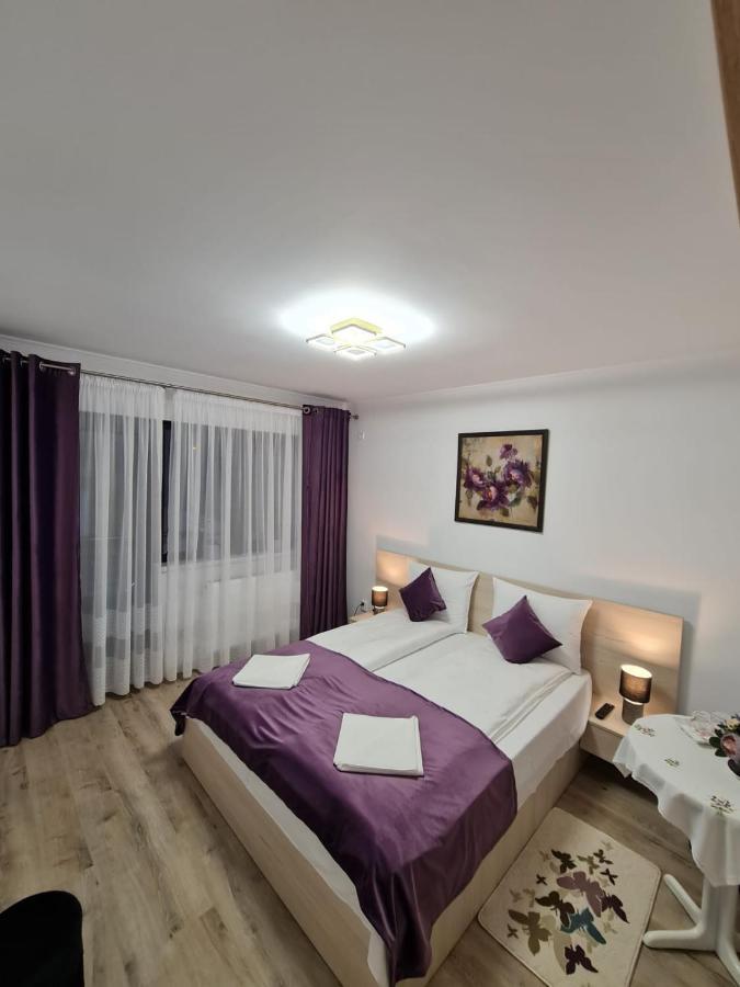 Splendid House Hotel Făgăraş Екстериор снимка