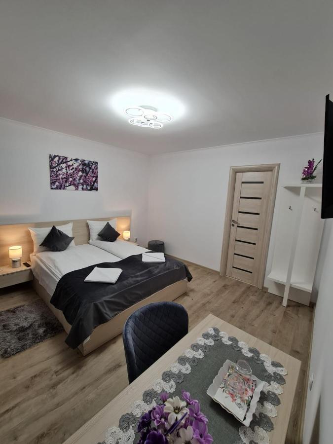 Splendid House Hotel Făgăraş Екстериор снимка