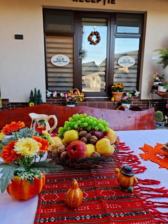Splendid House Hotel Făgăraş Екстериор снимка